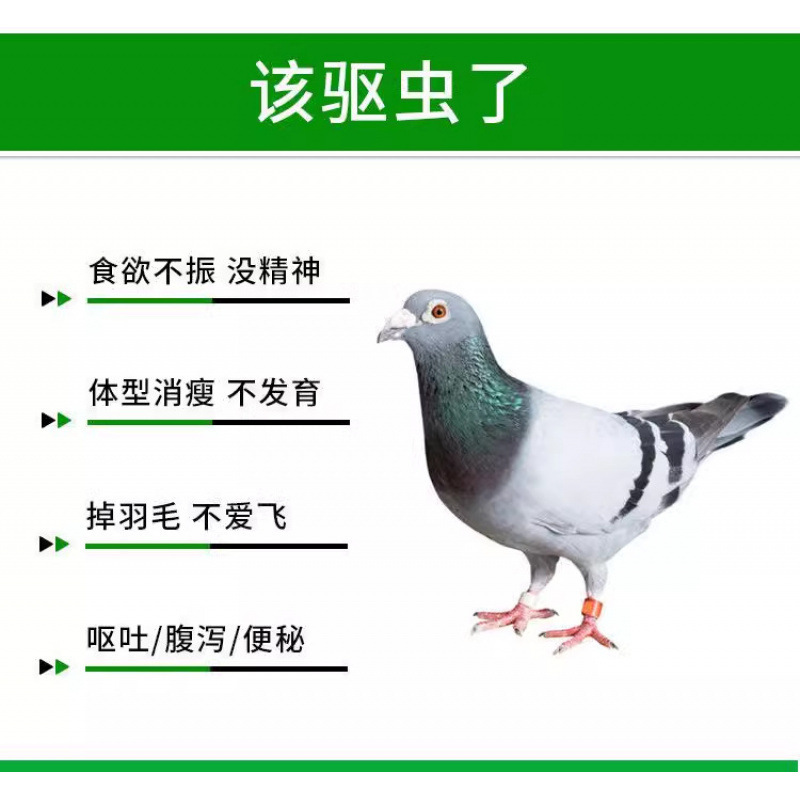 鸽子体内外驱虫药鸽子球虫药线虫蛔虫毛滴虫专用打虫药全虫清鸽药|undefined