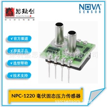 NPC-1220-100D-3L��|й¶�z�y700kpa�ģ�M��������������Nova