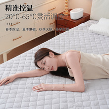 一键舒眠水暖床垫水循环超静音 主机恒温不干燥厂家供应电水暖毯