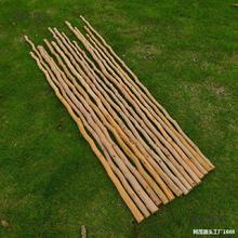 �ᗗ̫����ɽ��ľ���������g�����ᗗľ��Ұ��ľ��ľ��������