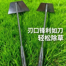 ���÷Nֲ���������z�^���P�С�N�˳�������ȫ��z�݈@ˇ�r���P��