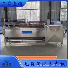 毛辊果蔬清洗机商用花生土豆红薯藠头生姜黄精马蹄莲藕毛刷清洗机