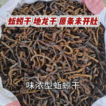 蚯蚓干 地龙干曲蟮 野生黑蚯蚓干臭蚯蚓青蚯蚓鱼饵 饵料 黄鳝诱饵