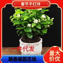 һ�����l�ذ����������҃��ļ��_���^��ֲ���̨������Ã�����