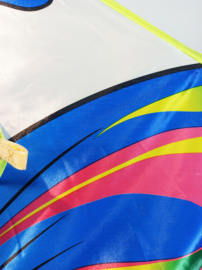 XCH长尾彩蝶- (10).jpg