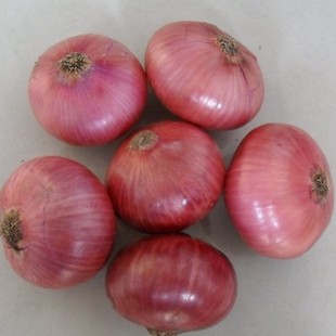 ���r���|5-7���ף�7-11cm��11cm�������[�W�����b�t���[���N�|��