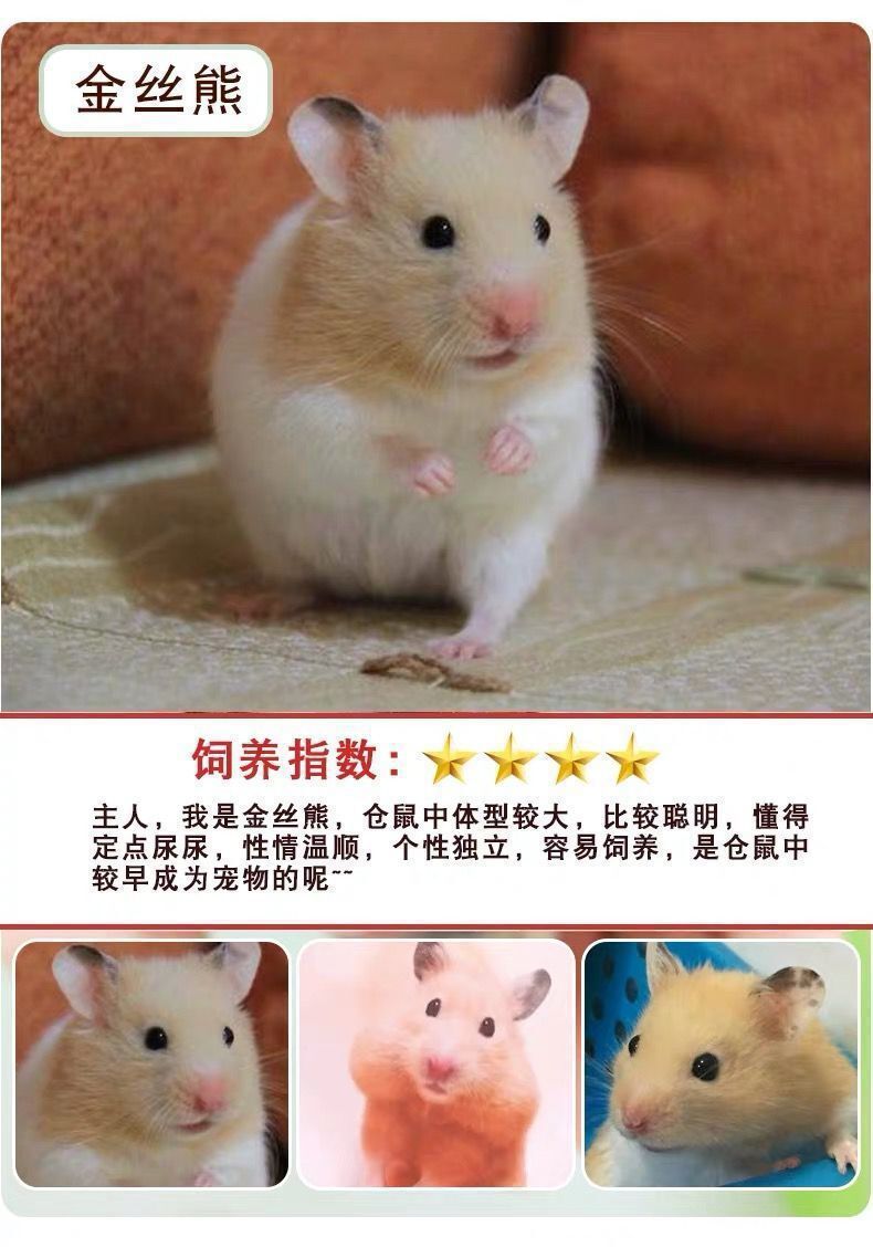 2ae89f60-d630-4142-816e-24ccd3802410.jpe