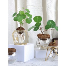 ˮɽԼtوA~Gֲ辰kȤζ^~^ֲ