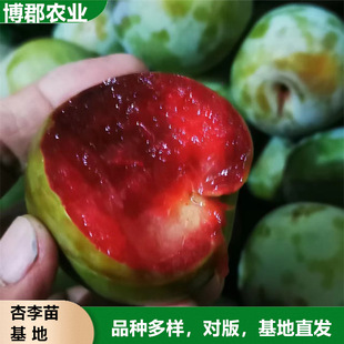 ����2�����޽������� ������ ���Ե��Կ�����ζ��������