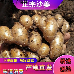 ï�����ݮa���rɳ��ɽ��ɰ�� �����uҬ���u�i�_���ϰ��]