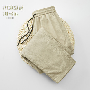 �羳���Q؛Դ�����Ʒ�|����͸������\��ֱͲ���e�Lѝ����Ůͬ��