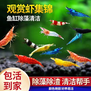 �^�p�r�����r��ˮ�r��ښ��r�坍�~�ͻ���B�Ꭷ�^�p�~����ˮ���r