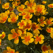 ݷNļ׷N^pͥԺ̨Զ޸ͺ