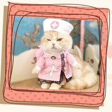 宠物变身护士衣服变身装搞笑猫咪衣服宠物圣诞衣服搞怪猫猫衣服