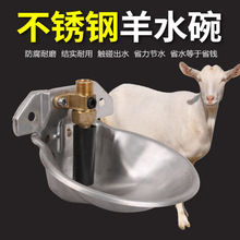 不锈钢羊用自动水碗 羊用饮水器自动阀水碗饮水槽抗摔碰养殖用品