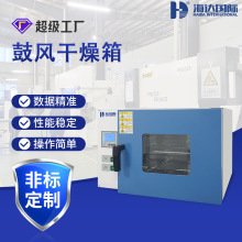 海達廠家真空干燥箱生產廠家 鼓風循環干燥箱電熱鼓風高溫干燥箱