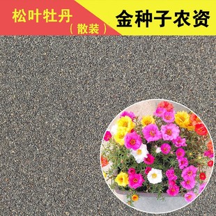 �ļ����Ի��ܷN��̫ꖻ��N�����~ĵ�������˰�֧ɏ���R�X�{