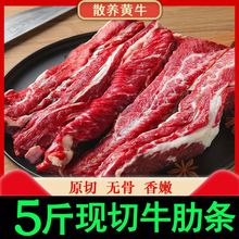 牛肋条新鲜现切黄牛肉原切批发农家散养烧烤一件代发