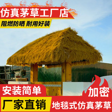 ����é��������b����Ϸµ��ݾ��^��é�ݷ�ˮ��Ƥ�r�Ҙ���ͤ�b�