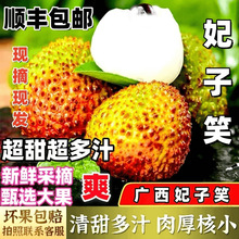 ��֦����Ц�V���`ɽ�a�������Ϙ��ЋD���rˮ���a�جFժ��朰l