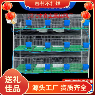 �Ӵּ�������S���ӻ\����\��̖�û\����ĸ�\�N�û\�������Bֳ�\