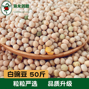 �n�����Z ����㶹50��ِ�������Bʳ�㽭������]