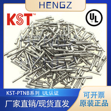 健和兴KST/PTNB1-10/1-9/PTN针型裸端子/PTNB针形46230裸端子接头