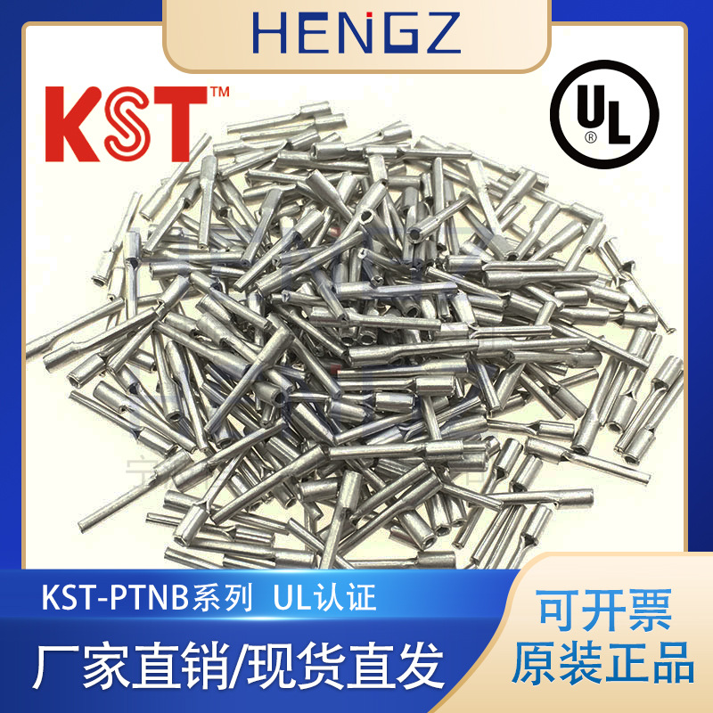 健和兴KST/PTNB1-10/1-9/PTN针型裸端子/PTNB针形46230裸端子接头