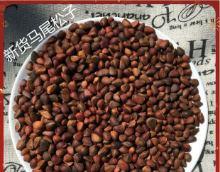 ��؛���d���XҰ���Rβ����ԭζ��С�����W�^ħ������Zʳ500���]