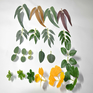 �S��ֱ�N����ֲ���~�����.���X�~�ȼ������컨ֲ����� �ٗl�~Ƭ