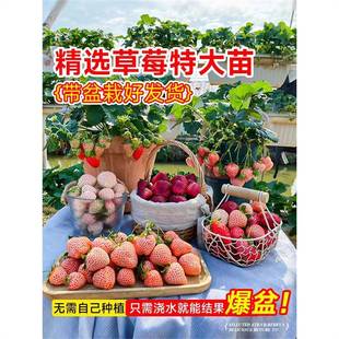 �ش��ݮ�������Ԏ����ļ��Y�������t������ݮ���҃��̨�Gֲ��