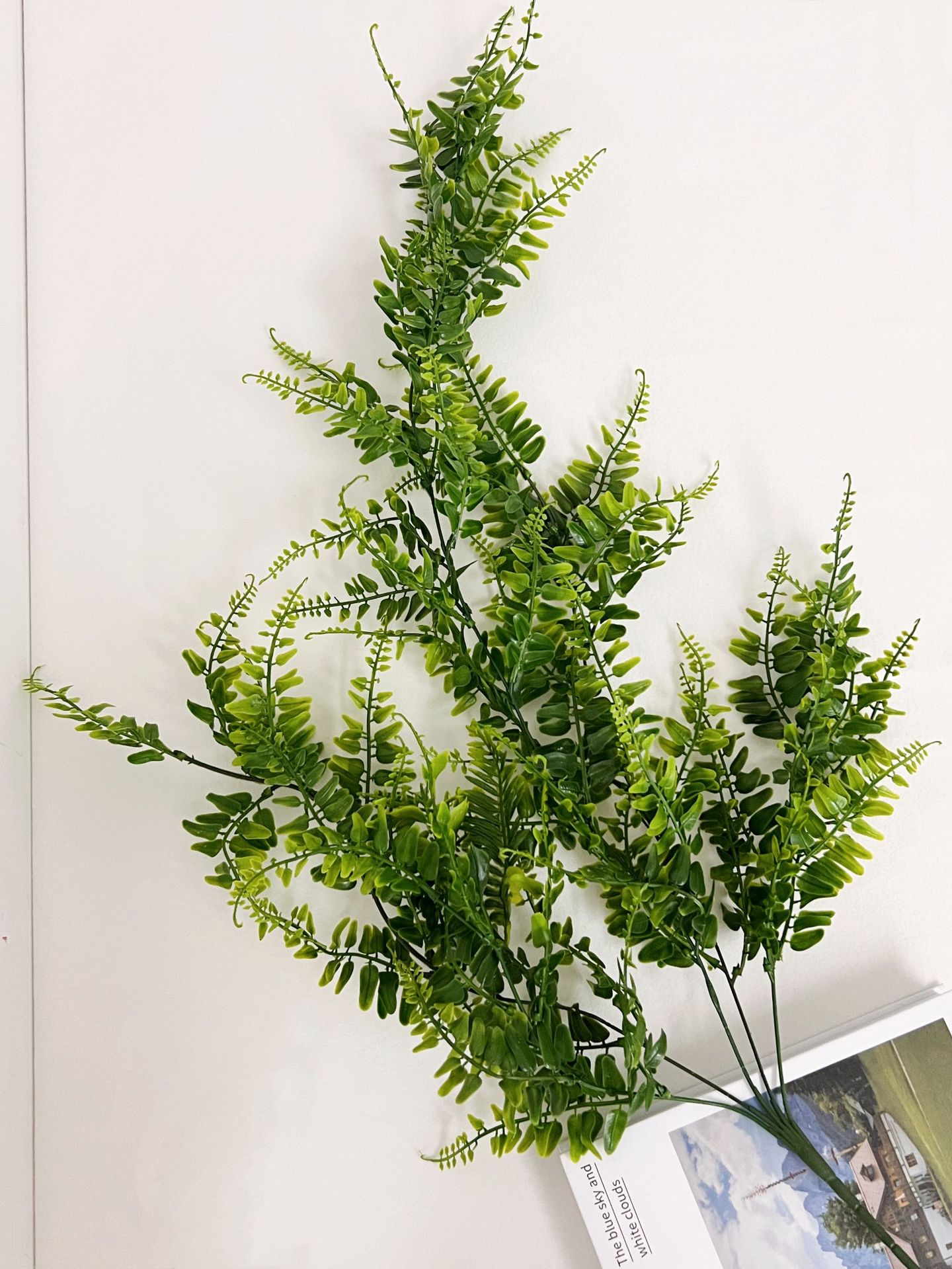 微信图片_20220705143024