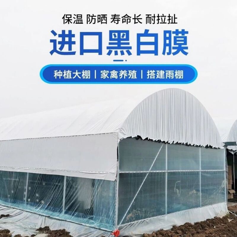 Imported Black and White Film, Thickened Greenhouse Film, Black and White Reflective Heat Insulation Film, Sun Protection Plastic Sheet, Edible Mushroom Green and White Film Imported Black and White Film, Thickened Greenhouse Film, Black and White Reflective Heat Insulation Film, Sun Protection Plastic Sheet, Edible Mushroom Green and White Film