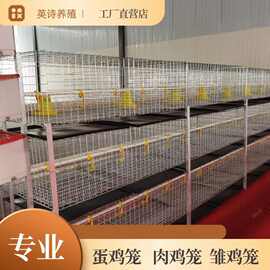 立式肉鸡笼养殖笼H型肉鸡笼养殖设备元宝手摇肉鸡笼量大从优