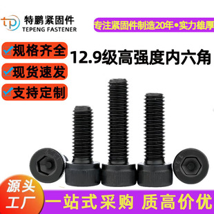 �A���^�������ݽz12.9���ߏ��ȱ��^��˨�Ͻ���ݽz�U����ݗU