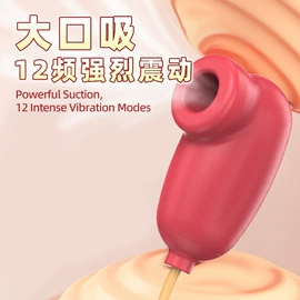震动棒;情趣跳蛋;后庭用品