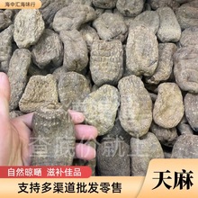 厂家批发大量干货10头西藏乌天麻中药材煲汤泡酒养生滋补食材