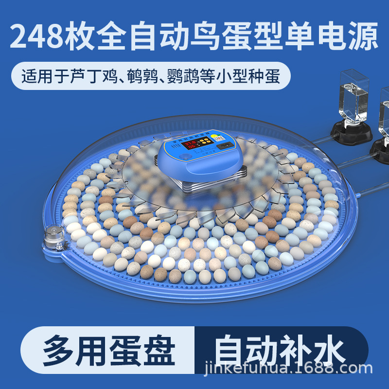 작은 알 248개 [단일 전기]