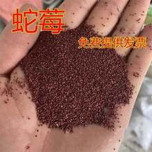 ݮNҰݮNѶ@ֵرcYѸͥԺ