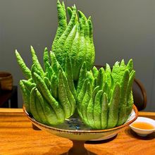 ϸɽrָȻ޹r幩bɫGֲ