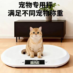 Դ�^�S��20kg����Ӽ��ù����Ӿ�׼С�����؈��Q���������w�س�