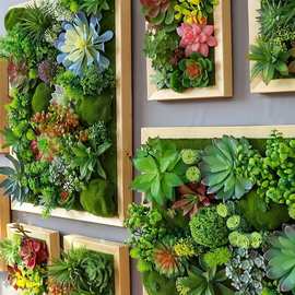 闻派仿真绿植多肉壁挂田园挂饰壁饰立体电表箱遮挡室内植物墙墙面