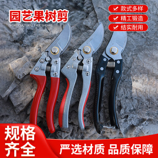 �������֦����ʡ�����޻�������֦��֦�@ˇ�����ܼ�@�ֹ������l
