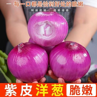 �r����Ƥ���[3/9��F��ˮ�����[���r�߲ˮ������[�^����