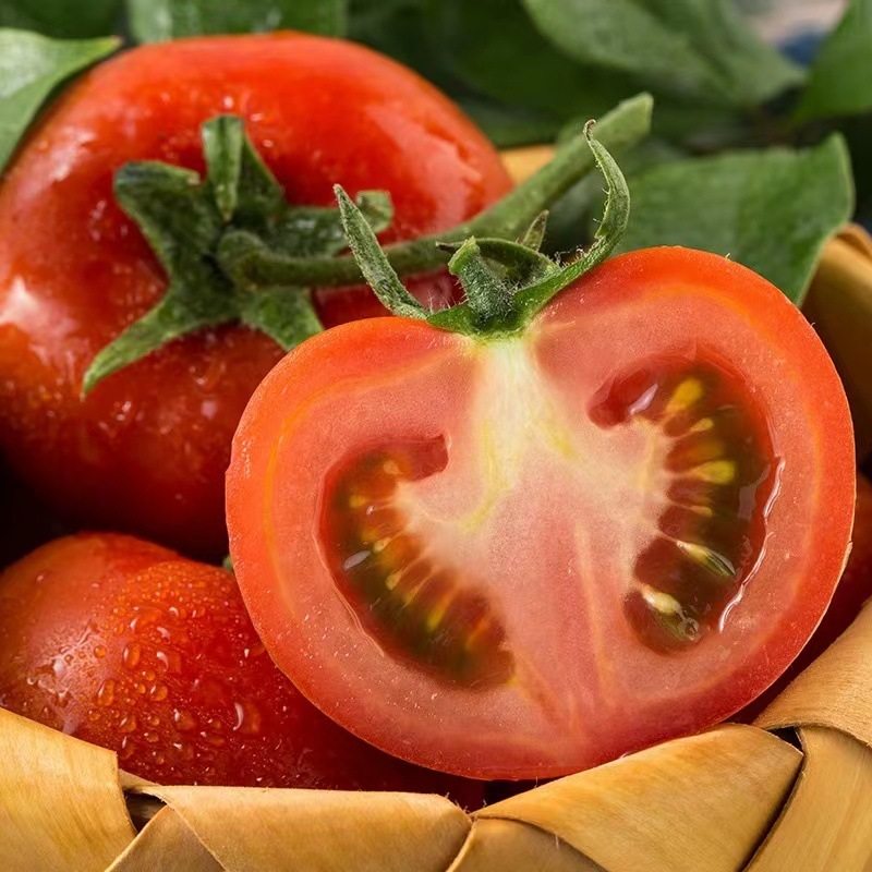 微信图片_2022060115370536