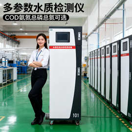 在线COD检测仪氨氮总磷总氮监测仪工业水质重金属污水自动分析仪