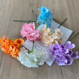 30֦�b���潑���^��c�껨·�����Ż�Y��̨�b�DIY���滨��