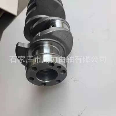 OE-4100QB-05-006A suitable for Yunnei – Crankshaft, camshaft