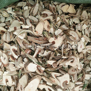 �V�������� ���f���^ ؈צ�{ �Vʯɏ�� ������