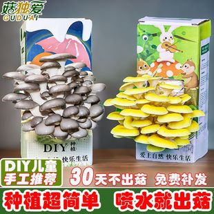 �������N�Nֲ���ҷN�҃ȼ�ͥ��������ͯȤζ�ֹ�